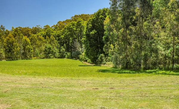 Vue Imprenable Sur Parc Australie — Photo