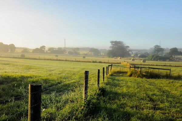 Foggy morning in the countryside of Australia.