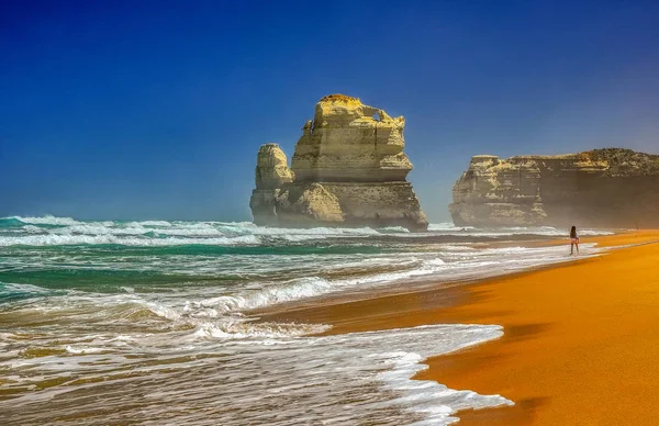 Beach of the Pacific ocean