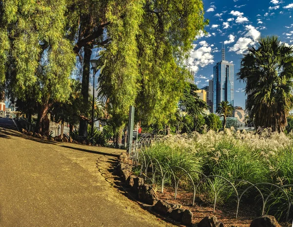 Parques Jardines Melbourne Países Bajos —  Fotos de Stock