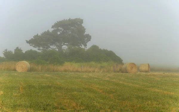 Foggy Dawn Warrnambool Australia Hermosa Luz Mañana —  Fotos de Stock