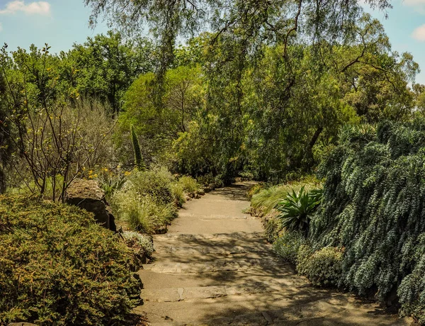 Parques Jardines Melbourne Países Bajos — Foto de Stock