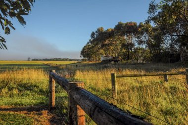 Victoria.Warrnambool'un Güney Batı kıyısı. Avustralya Pasifik kıyıları.