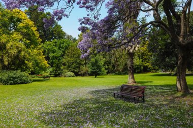 Melbourne parklarının bakım ve güzelliği