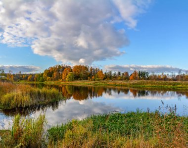 Nehir Kıyısında Altın sonbahar Parlak renkler.