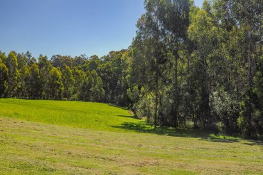 Avustralya'da parkın inanılmaz görünümü