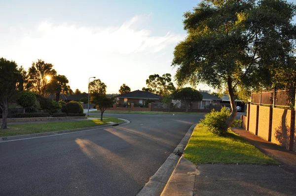 Warme Zomeravond Hallam Staat Victoria Australië — Stockfoto