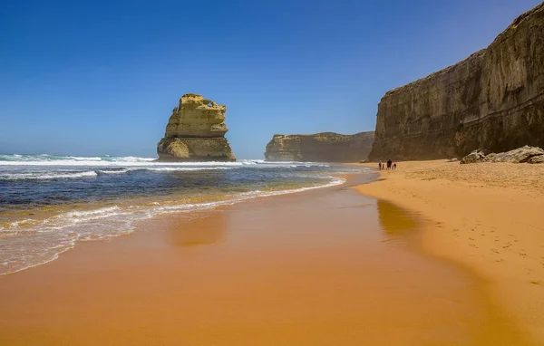 Beach of the Pacific ocean