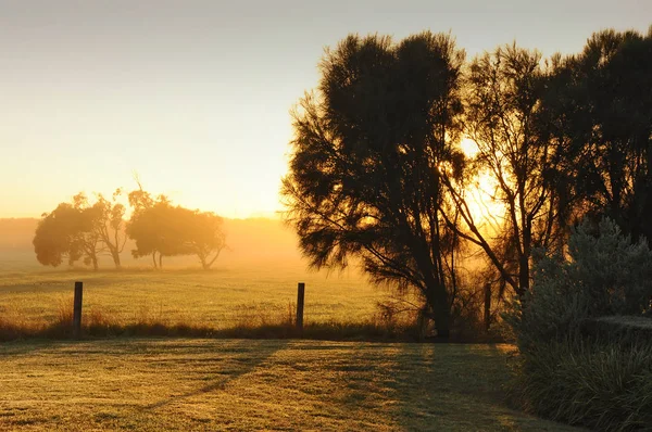 Avustralya kırsalında puslu sabah