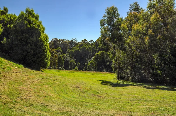 Atemberaubende Aussicht Auf Den Park Australien — Stockfoto