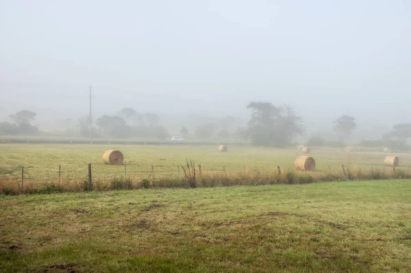 Foggy Daggry Warrnambool Australia Vakkert Morgenlys – stockfoto