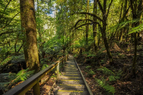 Increíble Vista Del Parque Australia — Foto de Stock