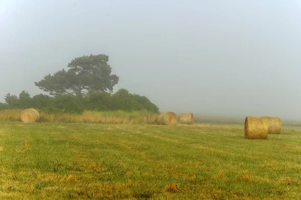 Foggy Daggry Warrnambool Australia Vakkert Morgenlys – stockfoto