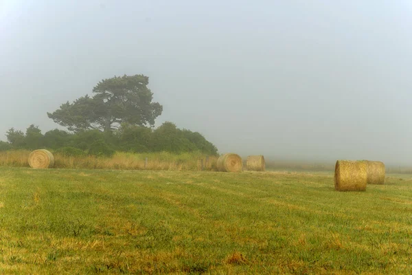 Dimmigt Gryning Warrnambool Australien Vackert Morgonljus — Stockfoto