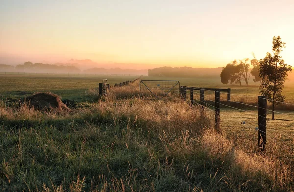 Ködös Hajnalban Warrnambool Ausztrália Gyönyörű Délelőtti Fény — Stock Fotó