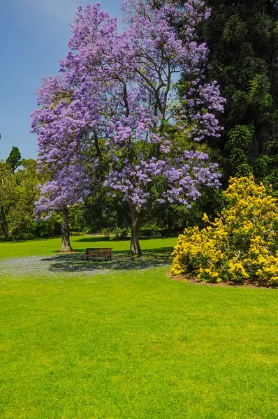 Aseo Belleza Los Parques Melbourne —  Fotos de Stock