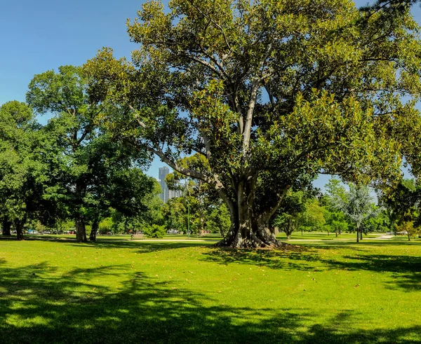 メルボルンの公園や庭園 オーストラリア — ストック写真