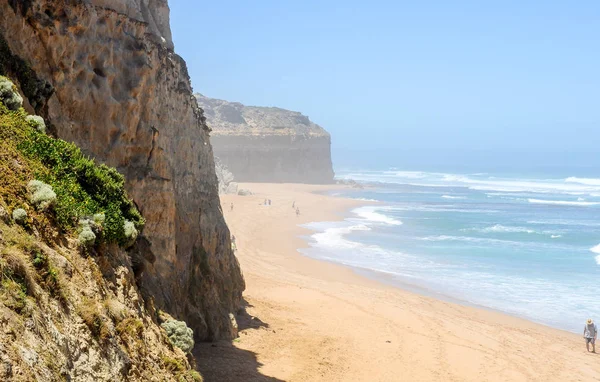 Giornata Nebbiosa Sulla Costa Australiana Del Pacifico Vicino Dodici Apostoli — Foto Stock