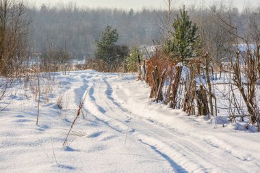 Kırsal kesimde güneşli kış günü. Beyaz kar