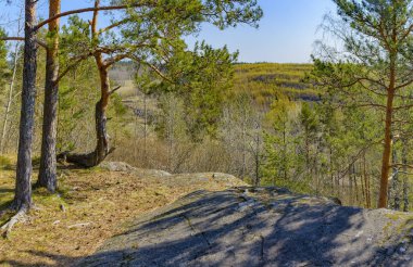 Karelia Cumhuriyeti'ne hafta sonu gezisi. Kuzey bölgelerinin güzelliği. 