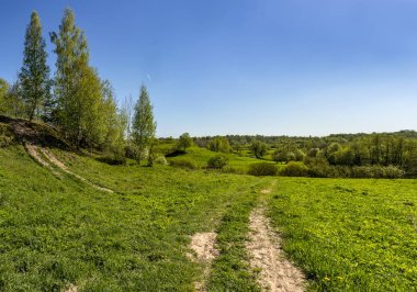 Leningrad bölgesinde Sablinka nehri boyunca bahar yürüyüşü. Sablino doğa rezervi.