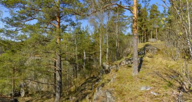 Karelia Cumhuriyeti'ne hafta sonu gezisi. Kuzey bölgelerinin güzelliği. 