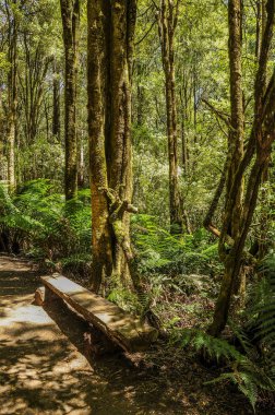 Avustralya'da parkın inanılmaz görünümü