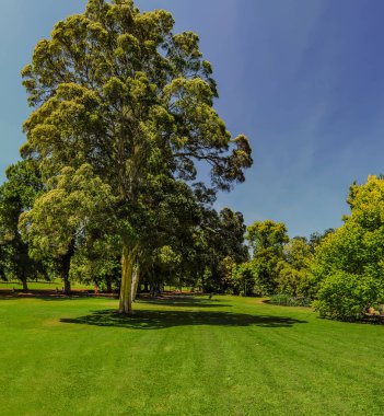 Melbourne Park. Avustralya