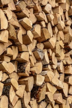 Kış için hazırlanan huş ağacı odunyığını. 