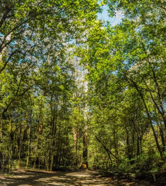 Avustralya'da parkın inanılmaz görünümü