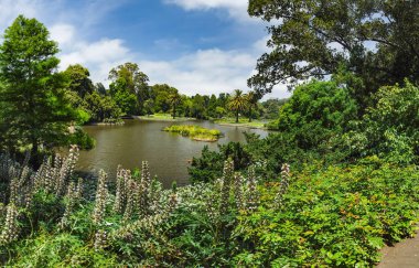Melbourne Parkları ve Bahçeleri. Avusturalya