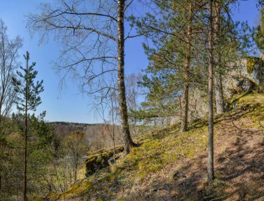 Karelia Cumhuriyeti'ne hafta sonu gezisi. Kuzey bölgelerinin güzelliği. 
