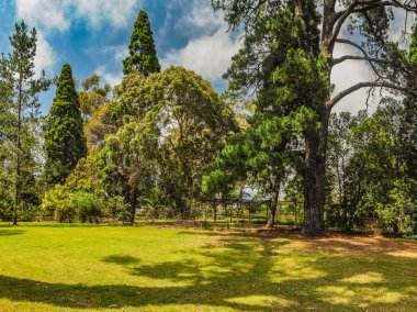Melbourne Parkları ve Bahçeleri. Avusturalya