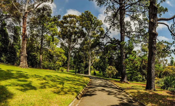 Parks Gardens Melbourne Australia — Stock Photo, Image