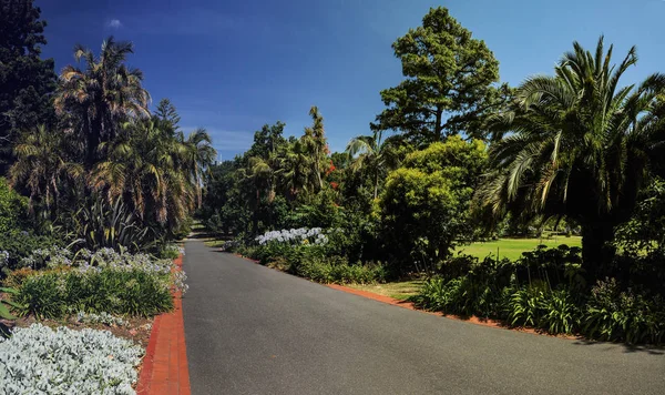 Parque Melbourne Países Bajos — Foto de Stock