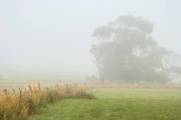 Туманний Світанок Warrnambool Австралія Прекрасний Ранковий Світлий — стокове фото