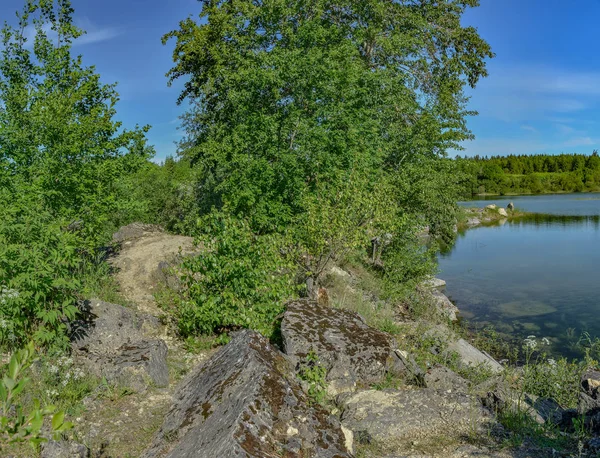 Sonniger Sommertag Einem Stillgelegten Steinbruch Zur Steingewinnung — Stockfoto