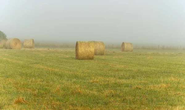 Foggy Dawn Warrnambool Australia Beautiful Morning Light — Stock Photo, Image