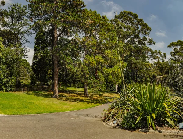 Parcs Jardins Melbourne Australie — Photo