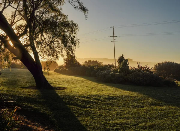 Nebliger Morgen Der Landschaft Australiens — Stockfoto