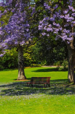 Melbourne parklarının bakım ve güzelliği