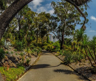 Melbourne Parkları ve Bahçeleri. Avusturalya