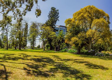 Melbourne Park. Avustralya