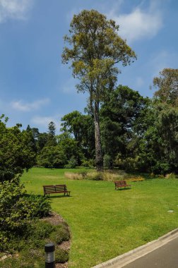 Melbourne parklarının bakım ve güzelliği