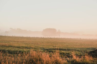 Avustralya kırsalında puslu sabah