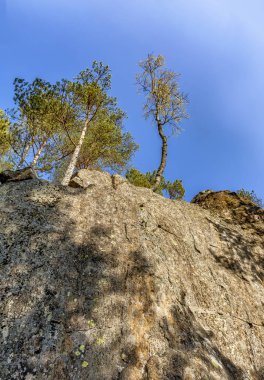 Karelia Cumhuriyeti'ne hafta sonu gezisi. Kuzey bölgelerinin güzelliği. 