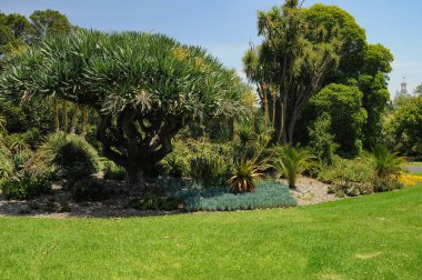 Melbourne parklarının bakım ve güzelliği