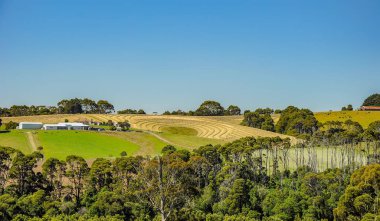 Avustralya'da parkın inanılmaz görünümü