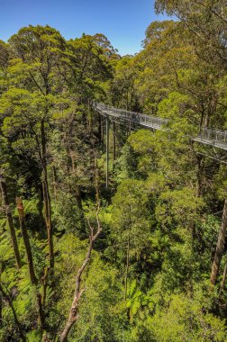 Avustralya'da parkın inanılmaz görünümü