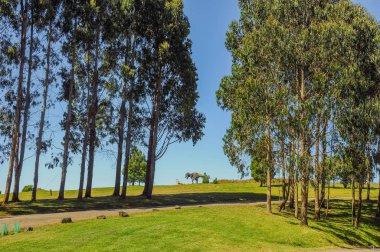 Avustralya'da parkın inanılmaz görünümü